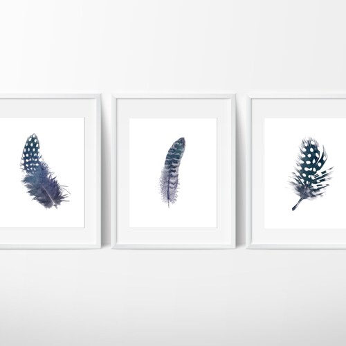Set of 3 Indigo Feather Prints / Navy Feather Print / Feather Etsy