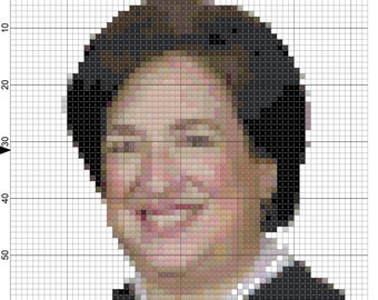 SALE! DIGITAL PATTERN: Supreme Court Justice Elena Kagan