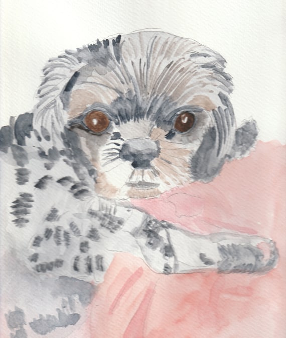 For Charity STFBR a Watercolor Done of Zoey, a the