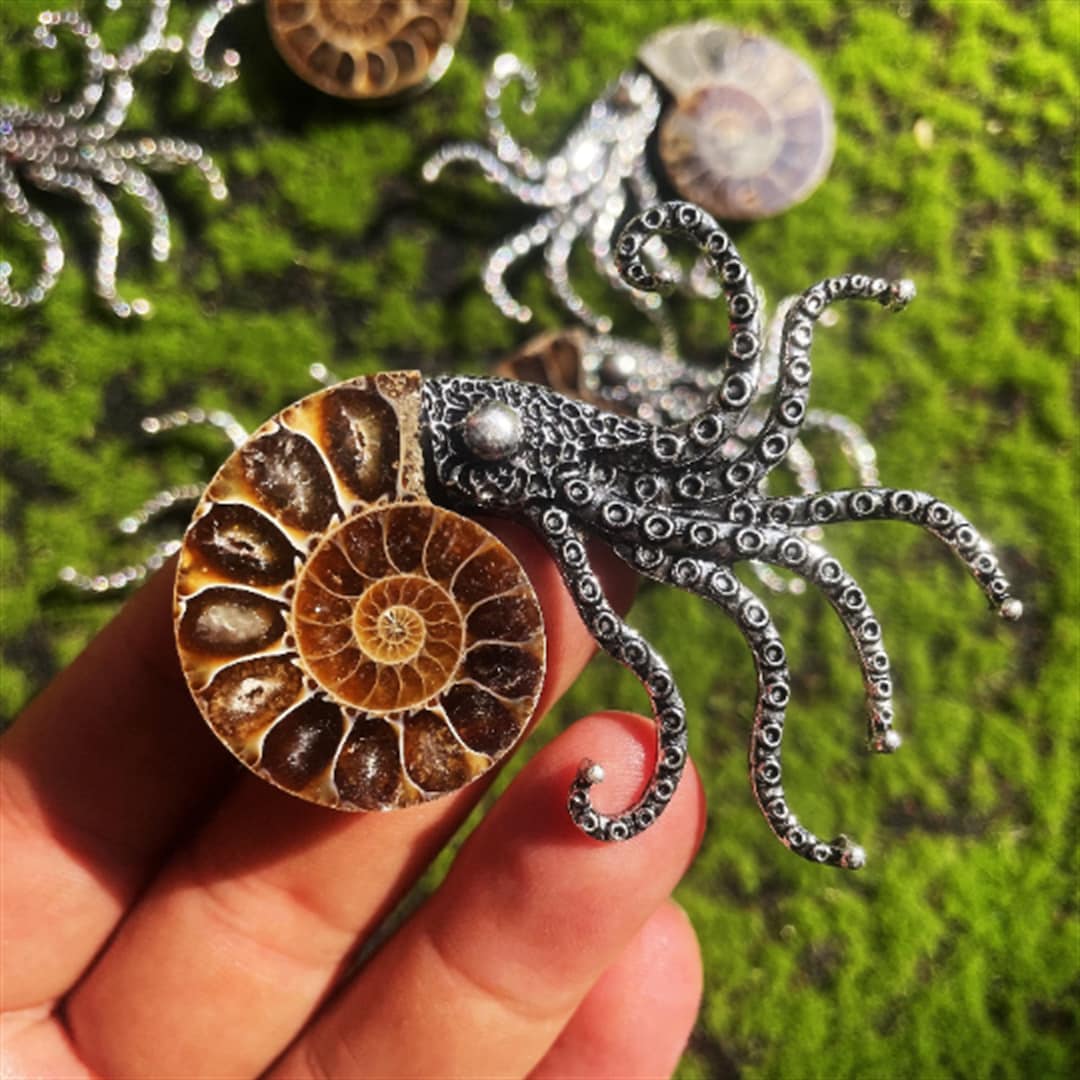 Amanite Fossil Crystal Quartz Stand With Metal Holder For Ammonite Fossil, Conch Specimen, Or Healing Stones - Black Ammonite Fossil Display - Foto 9