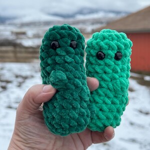 Emotional Support Plushie: Dill Pickle