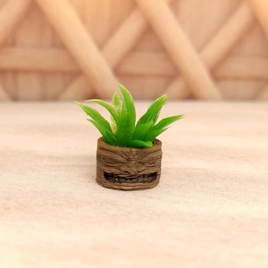May include: A miniature potted succulent with vibrant green leaves. The plant is housed in a small, brown, textured pot. The background features a light-colored surface and a wooden lattice design, with soft yellow and orange lanterns.