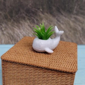 May include: A small, white whale-shaped planter holding a green succulent plant sits atop a woven brown box. The whale planter has a textured surface and is detailed with fins and a tail. The box has a rectangular shape and a lid.