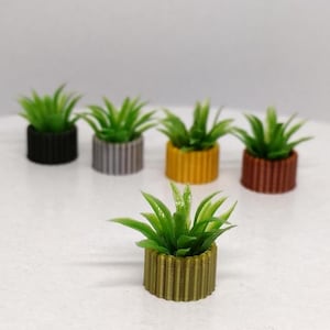May include: Five miniature potted plants with green leaves. The pots are made of different materials and colors, including black, gray, yellow, and brown.