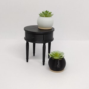 May include: A miniature black side table with a drawer, topped with a white pot holding a succulent plant. Another black pot with a succulent sits below. The table has four legs.