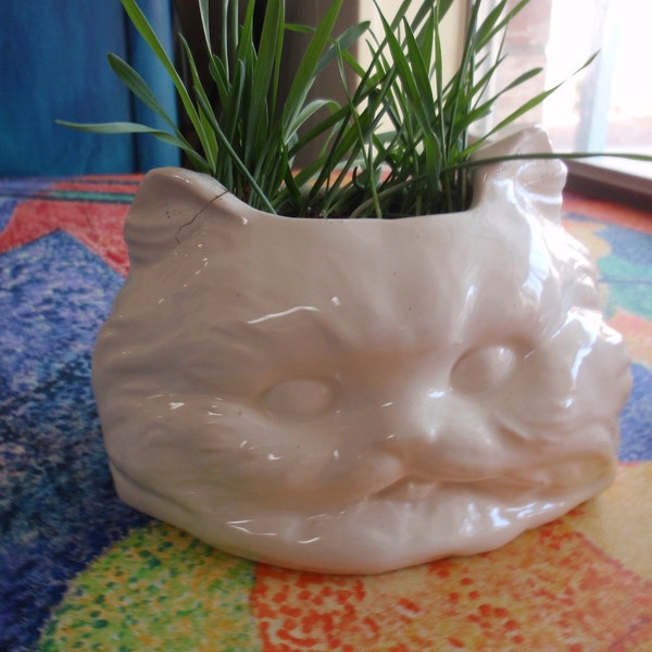 Kat grass planter