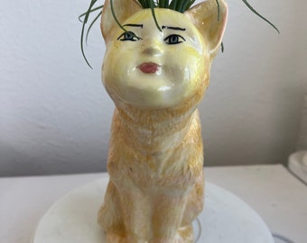 Moon baby cat vase