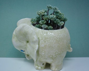 SHY   baby elephant planter