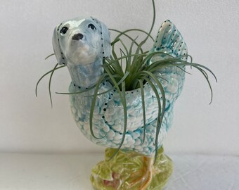 Little blue chicken dog