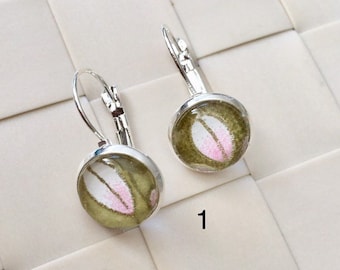 Op de afbeelding: Een paar zilverkleurige oorhangers met hefboomsluiting. Elke oorbel heeft een ronde, heldere glazen cabochon met een ontwerp van een roze en wit blad op een groene achtergrond. Het nummer "1" is zwart gedrukt.