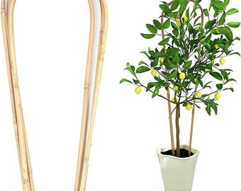 3 ft Bamboo Plant Trellis, U-Hoop Garden Vine Support
