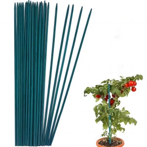 May include: A bundle of 20 green plant support sticks, approximately 12 inches long, with a close-up of a tomato plant with red tomatoes growing up a green support stick.