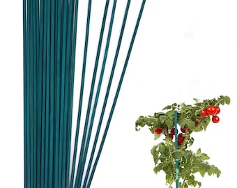 50 Green Bamboo Plant Sticks, 18" Garden Stakes