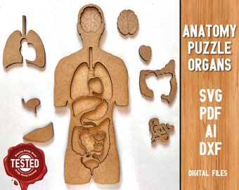 Anatomy Puzzle Design Files SVG DXF PDF Laser Cut File,Svg,Dxf,Kids laser ,Children puzzle file,diy craft kits,Glowforge,Digital Download