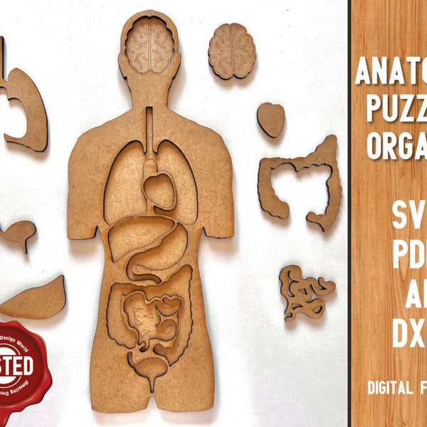 Anatomy Puzzle Design Files SVG DXF PDF Laser Cut File,Svg,Dxf,Kids laser ,Children puzzle file,diy craft kits,Glowforge,Digital Download