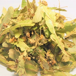 Linden herb tea (organic tea)
