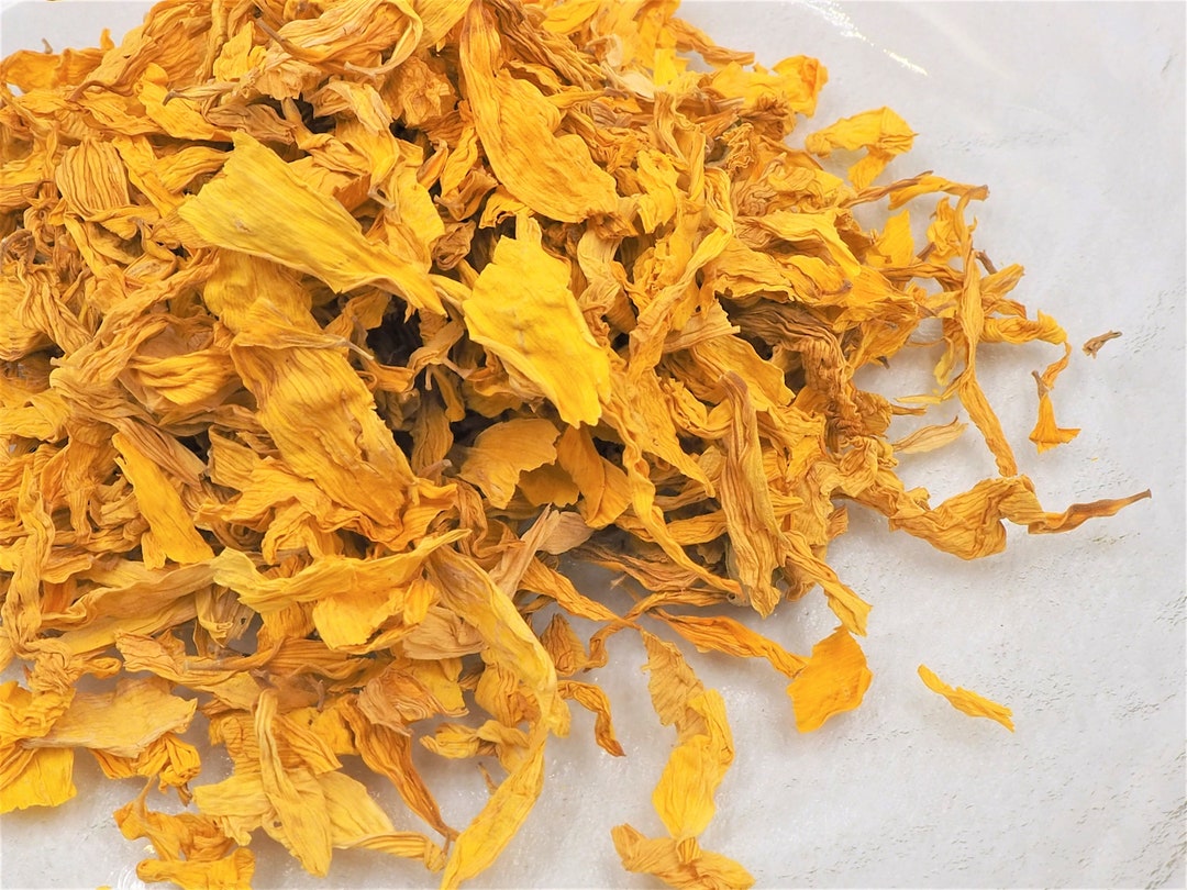 Sunflowr Tea Sunflower Tea (organic Tea) - Etsy