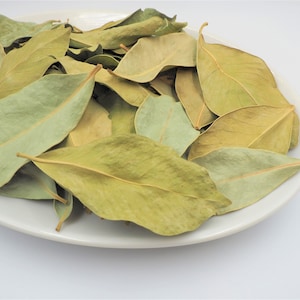 Guava leaf tea