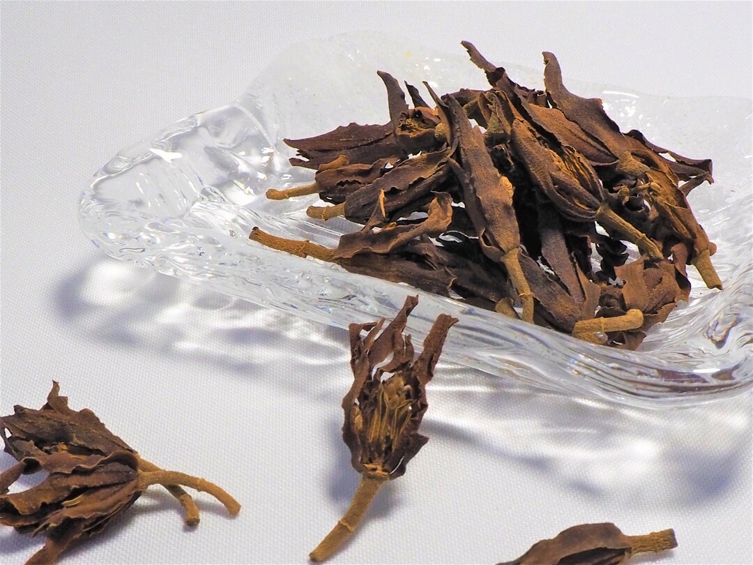 Magnolia Tea Magnolia Flower Tea(organic Tea) - Etsy