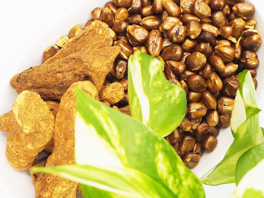 Solomon's Seal and Corn Blended Tea - Etsy