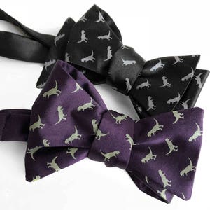 T-Rex Bow Tie. Archeologist gift. Tiny dinosaur bow tie t-rex tie. Dapper tyrannosaurus rex gift for archaeologists gift for science teacher
