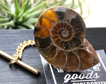 Ammonite Fossil Tie Tack, Golden ratio tie pin. Geologist gift, paleontologist, beach wedding men, for the groom. Husband gift, Dad gift