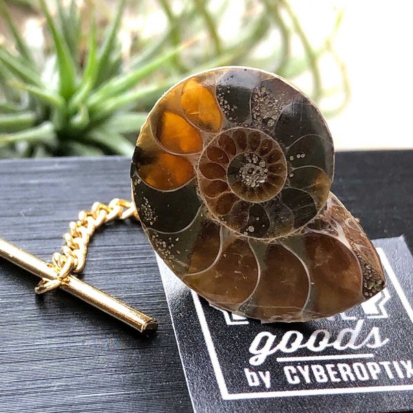 Ammonite Fossil Tie Tack, Golden ratio tie pin. Geologist gift, paleontologist, beach wedding men, for the groom. Husband gift, Dad gift