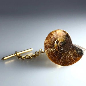 Ammonite Fossil Tie Tack, Golden ratio tie pin. Geologist gift, paleontologist, beach wedding men, for the groom. Husband gift, Dad gift image 4