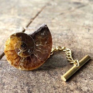 Ammonite Fossil Tie Tack, Golden ratio tie pin. Geologist gift, paleontologist, beach wedding men, for the groom. Husband gift, Dad gift image 6