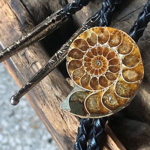 Ammonite Fossil Bolo Tie. Western tie with tips, stone bolo tie, cowboy fashion, western wedding, southwest wedding, bolo tie collector gift