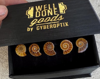 Ammonite Fossil Tuxedo Shirt Studs – Genuine Stone Formalwear, Alternative Black Tie, Wedding Tux Button Set of 3, 4 or 5