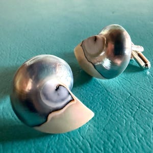 May include: A pair of cufflinks with a nautilus shell design. The cufflinks have a polished, iridescent finish with shades of silver, blue, and cream. The cufflinks are set against a turquoise background.
