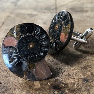Gemelli in ammonite nera. Regalo raro per collezionisti di fossili, appassionati di minerali, gemelli unici, regalo per collezionisti di gemelli, regalo per marito, papà, fidanzato