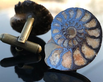 Hematite Ammonite Cufflinks. Rugged, rare fossil men's cufflinks. Archeologist gift, Geologist gift, beach wedding men, cufflink collector