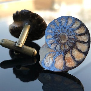 Hematite Ammonite Cufflinks. Rare stone, rock collector, fossil collector gift, rugged men&#39;s cufflinks. Geologist gift, cufflink collector