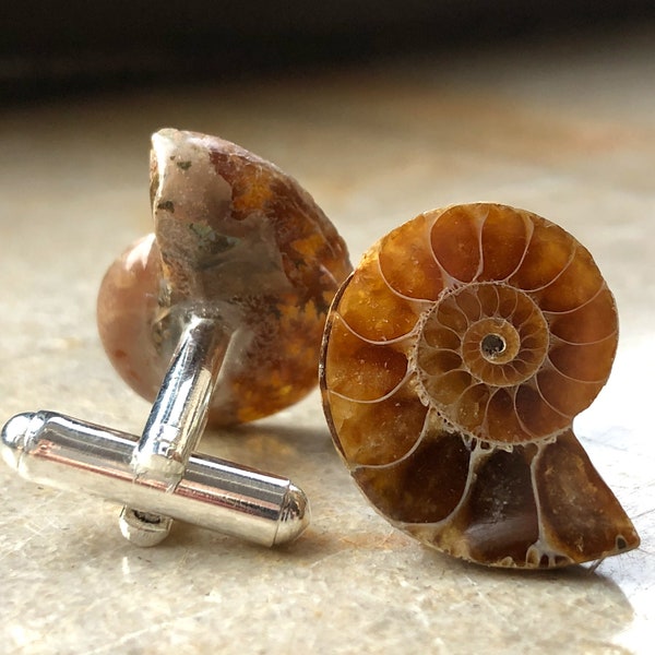 Ammonite Fossil Cufflinks. Golden ratio, men's cufflinks. For Dad, gift for him, groom's cufflinks, beach wedding men, cufflink collector