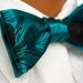 Peacock Feather, self tie bow tie. Teal green & more, matching wedding bow tie. Peacock, art nouveau wedding. Customizable colors, for groom