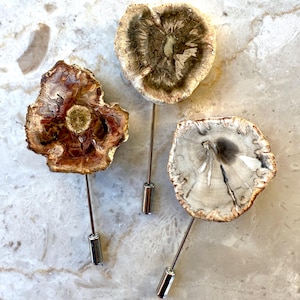 May include: Three lapel pins with slices of petrified wood. The pins have silver-coloured posts and cylindrical bases. The wood slices display brown, tan, and cream colours, with visible grain patterns. The pins are decorative.