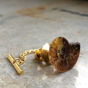 Ammonite Fossil Tie Tack, Golden ratio tie pin. Geologist gift, paleontologist, beach wedding men, for the groom. Husband gift, Dad gift image 7