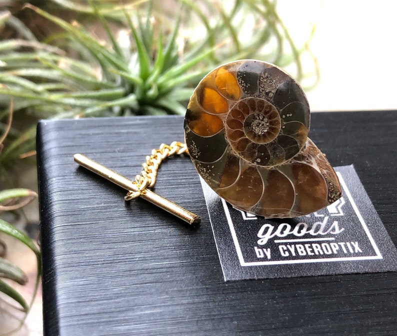 Ammonite Fossil Tie Tack, Golden ratio tie pin. Geologist gift, paleontologist, beach wedding men, for the groom. Husband gift, Dad gift image 1