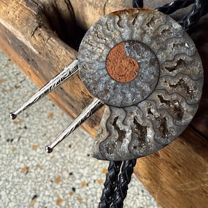 以下が含まれることがあります： 銀製のボロタイに、化石化したアンモナイトのペンダントがついたもの。アンモナイトは薄い灰色で、中心が茶色、黒い革ひもがついている。