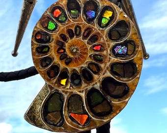 Ammonite Fossil Bolo Tie with Opalized Ammolite Inlay. Canadian gemstone jewelry collector, western wedding, southwest fashion, New Mexico