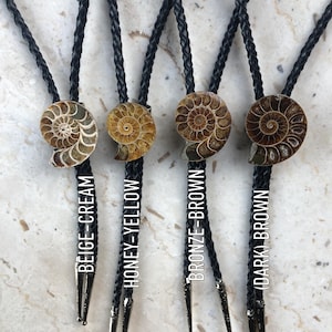 Four bolo ties with fossil pendant stones  in beige-cream, honey-yellow, bronze-brown, and dark brown. Each tie has a black braided cord and a silver-colored metal tip. The text on the image indicates the color of each bolo tie.