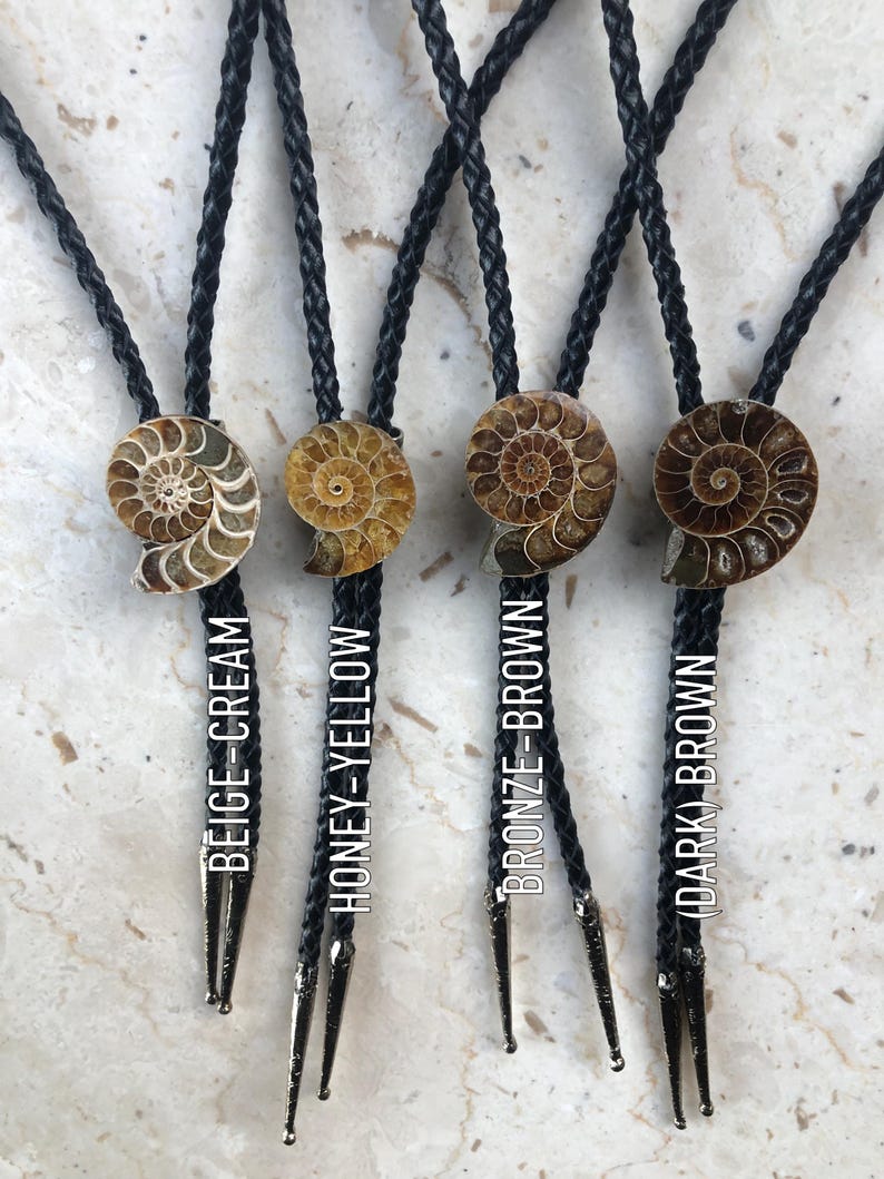 Four bolo ties with fossil pendant stones  in beige-cream, honey-yellow, bronze-brown, and dark brown. Each tie has a black braided cord and a silver-colored metal tip. The text on the image indicates the color of each bolo tie.