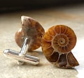 Ammonite Fossil Cufflinks. Golden ratio, men's cufflinks. For Dad, gift for him, groom's cufflinks, beach wedding men, cufflink collector