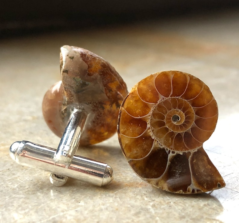 Ammonite Fossil Cufflinks in mid-brown shades with silver French cuff hardware, shown on a beige marble table.