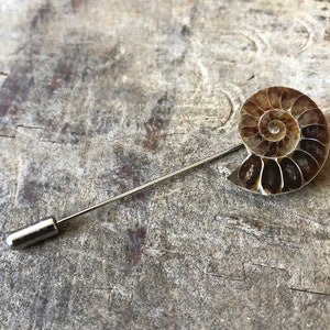 Ammonite Lapel Pin, fossil shell stick pin. Boutonniere, hat pin, groom's wedding suit, lapel pin, paleontology, beach wedding. Fossil lapel image 7