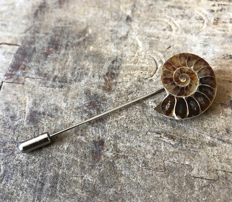 Ammonite Lapel Pin, fossil shell stick pin. Boutonniere, hat pin, groom's wedding suit, lapel pin, paleontology, beach wedding. Fossil lapel image 7