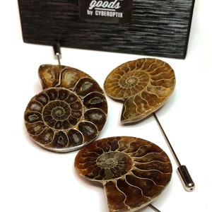 Ammonite Lapel Pin, fossil shell stick pin. Boutonniere, hat pin, groom's wedding suit, lapel pin, paleontology, beach wedding. Fossil lapel image 3