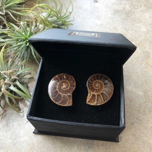 Ammonite Fossil Cufflinks. Golden ratio, men's cufflinks. For Dad, gift for him, groom's cufflinks, beach wedding men, cufflink collector image 3